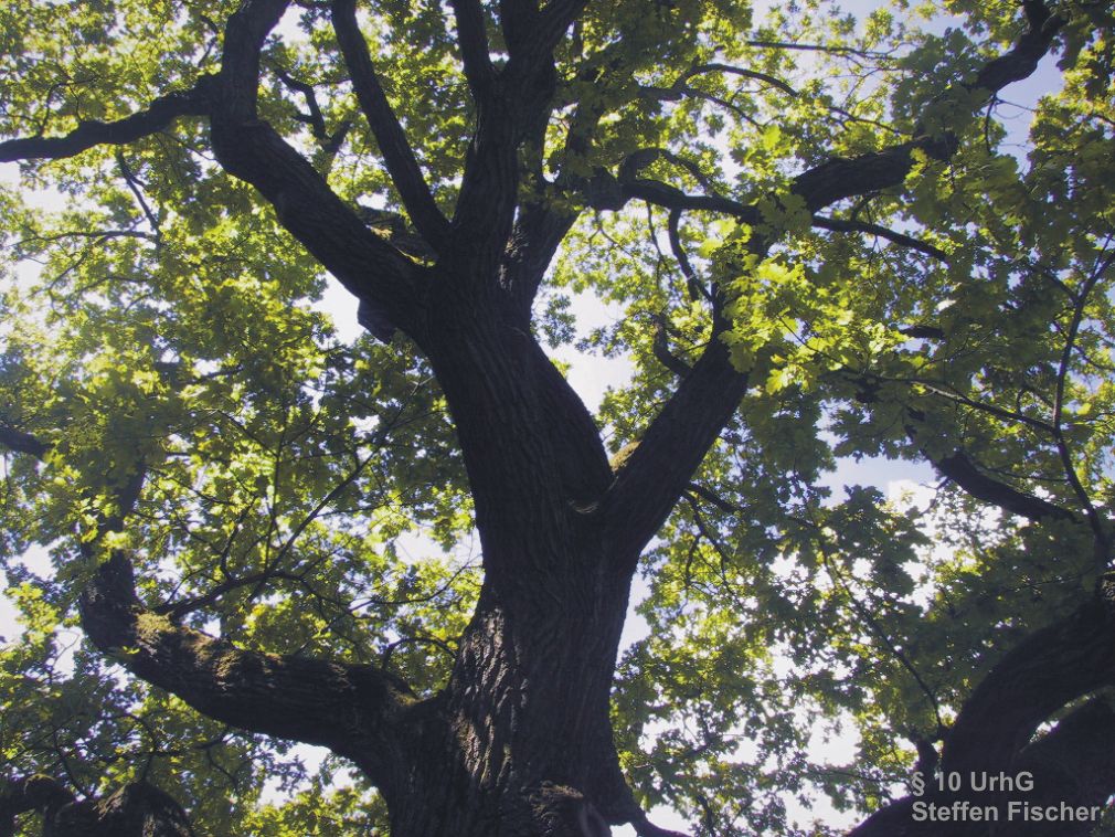 Aussichtspunkt Schillereiche